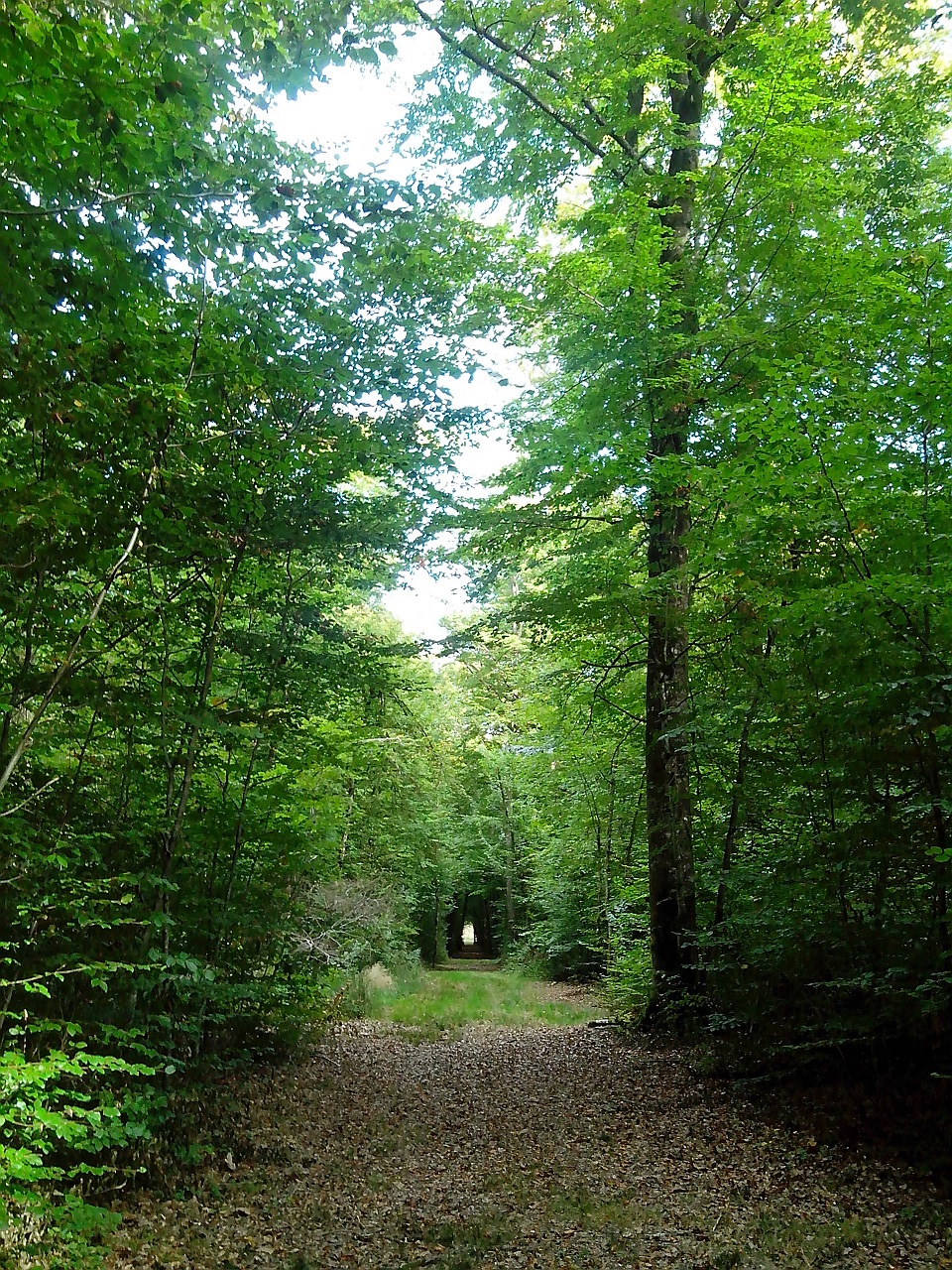 Circuits découverte