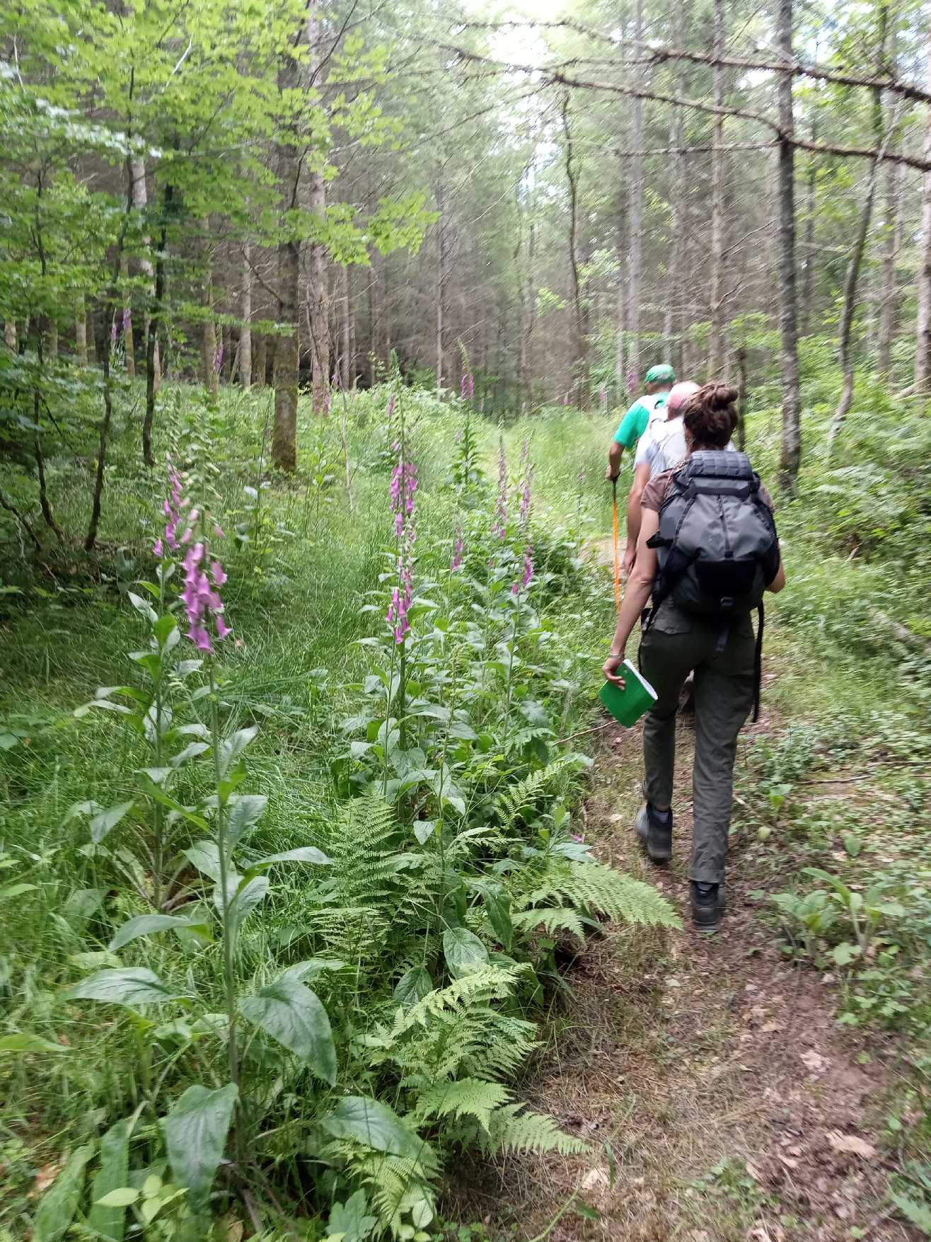 Balades et randonnées