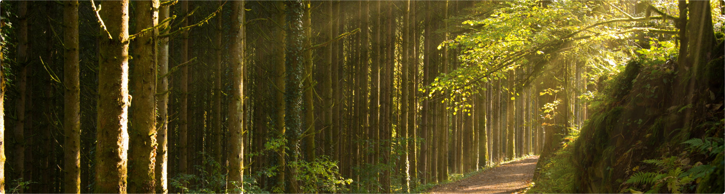 L’office de tourisme Vosges côté Sud-Ouest