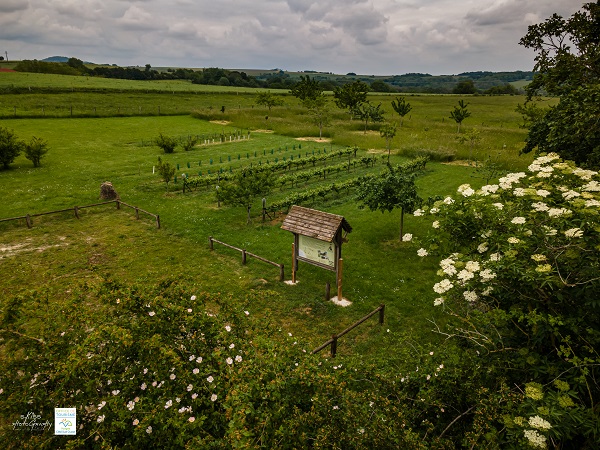 Sentier des Étangs (n°11)