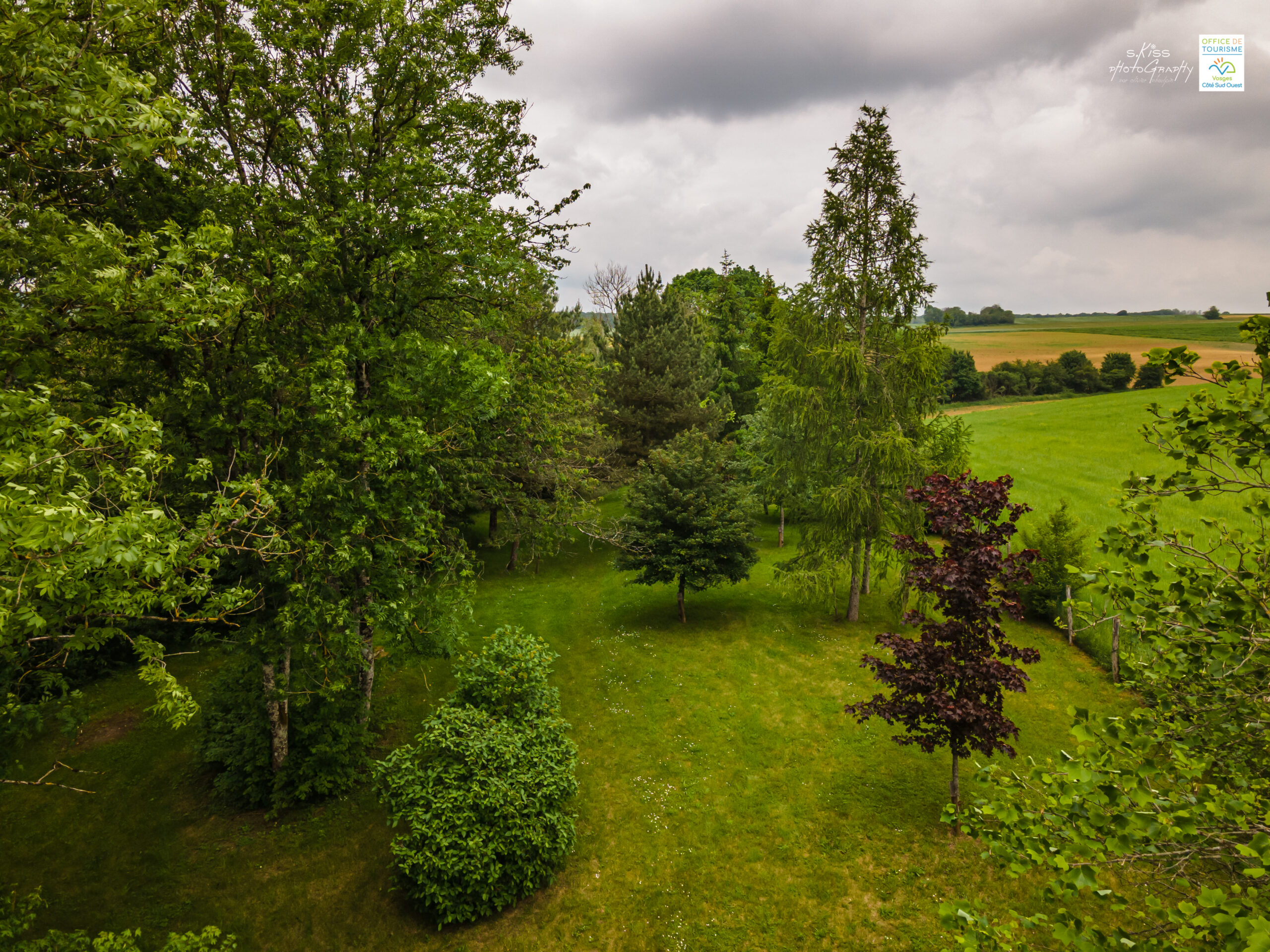 Sentier de l’Arboretum (n°10)