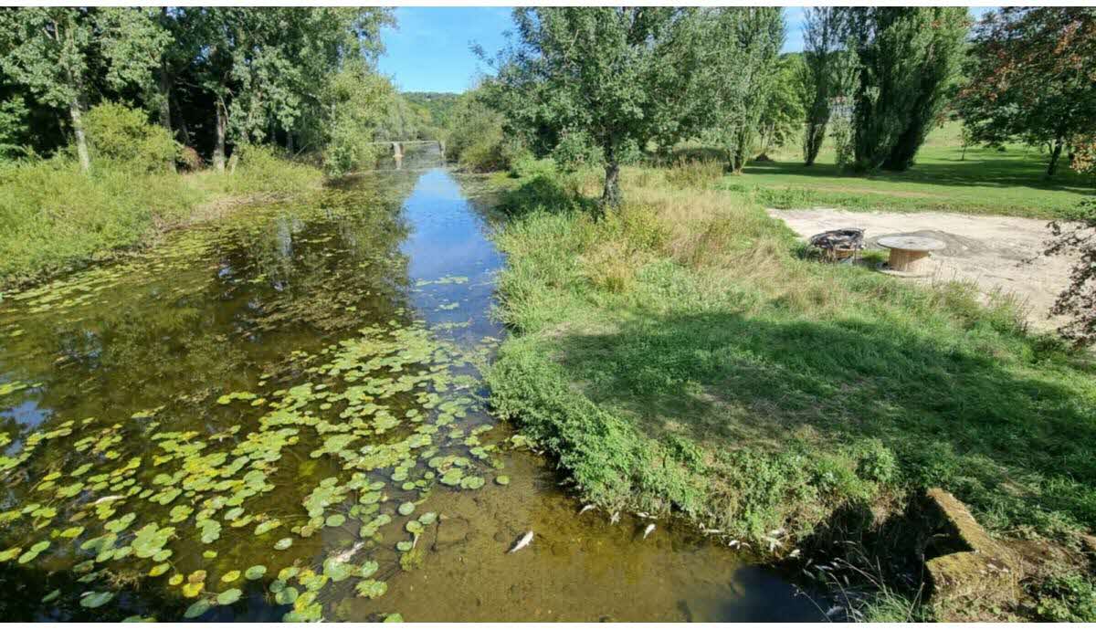 Les Balcons du Mouzon (n°13)
