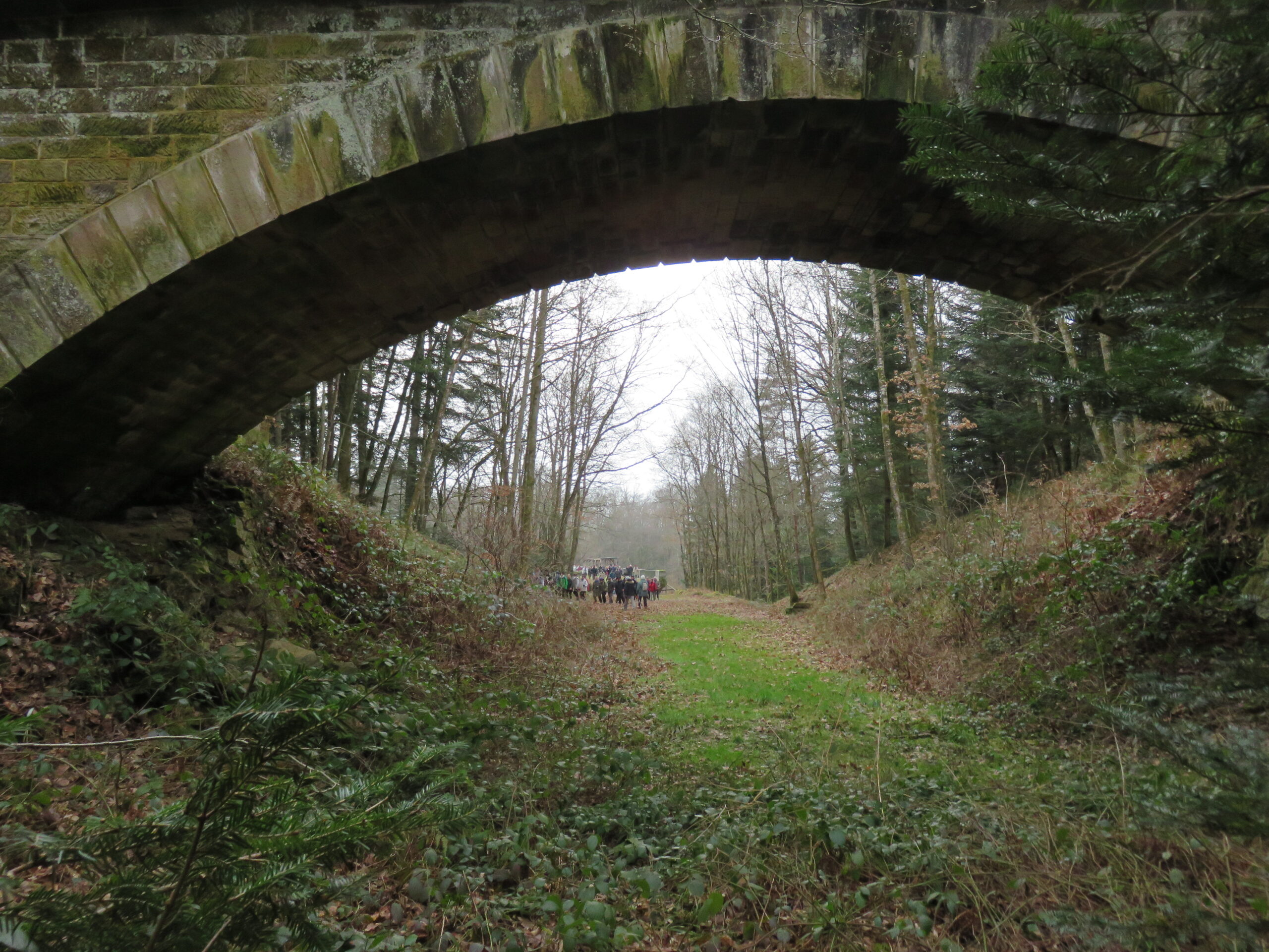 Sentier des biches (n°5)