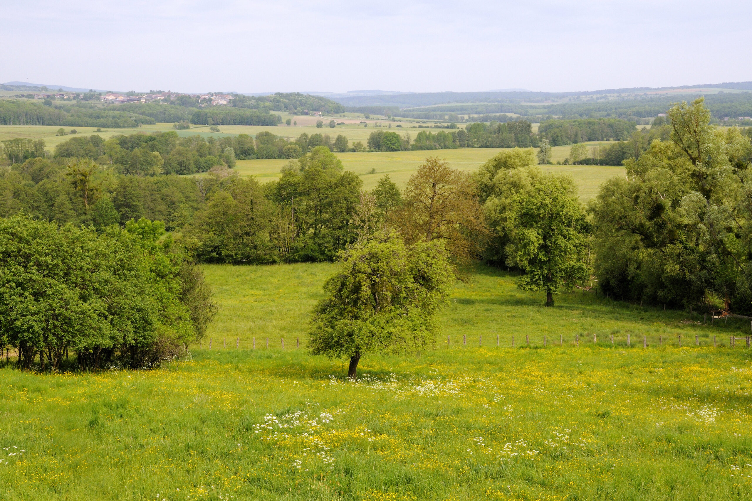 Les Balcons de la Saône (n°2 & 3)