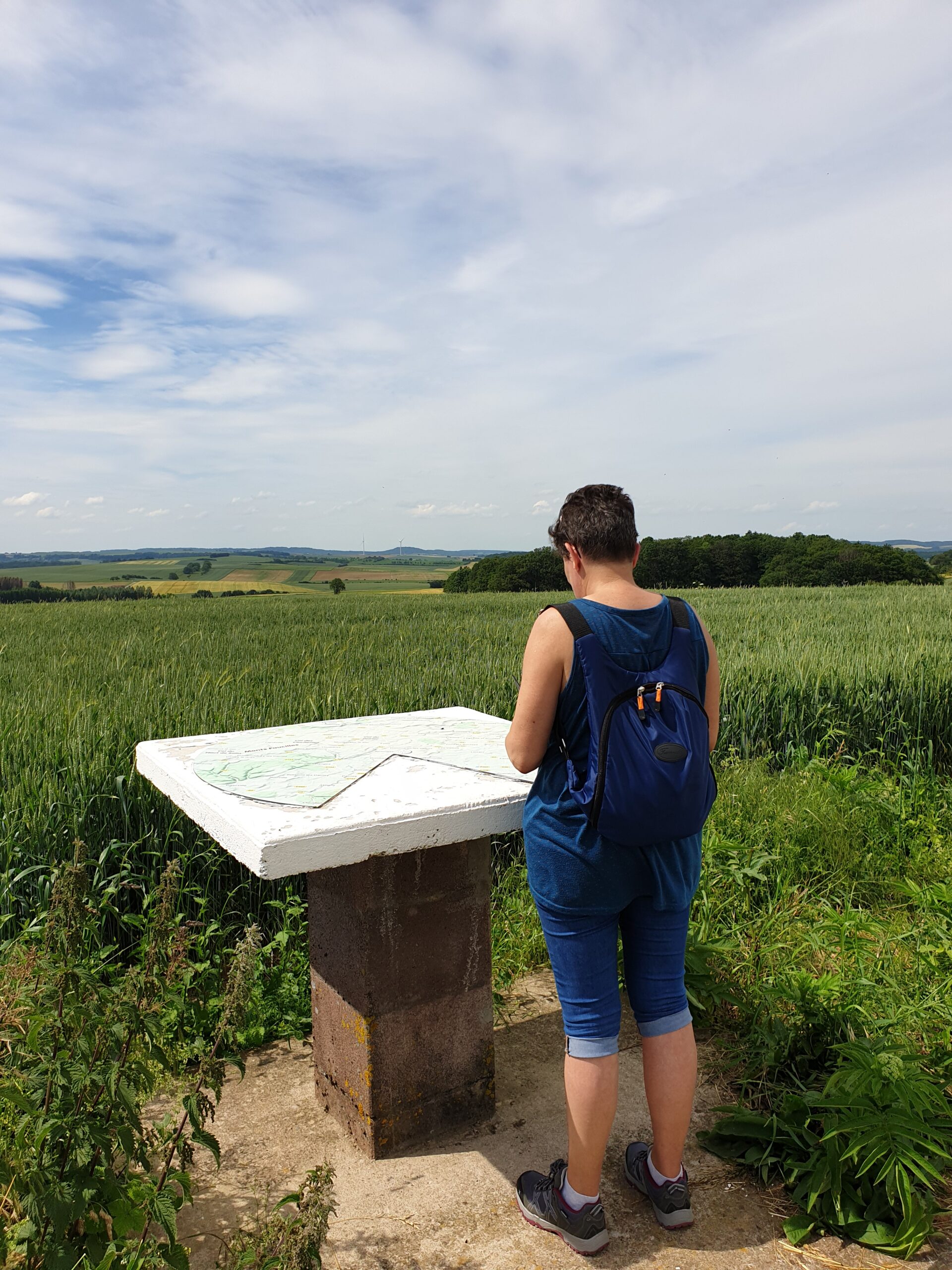 Les Monts Faucilles (n°21)