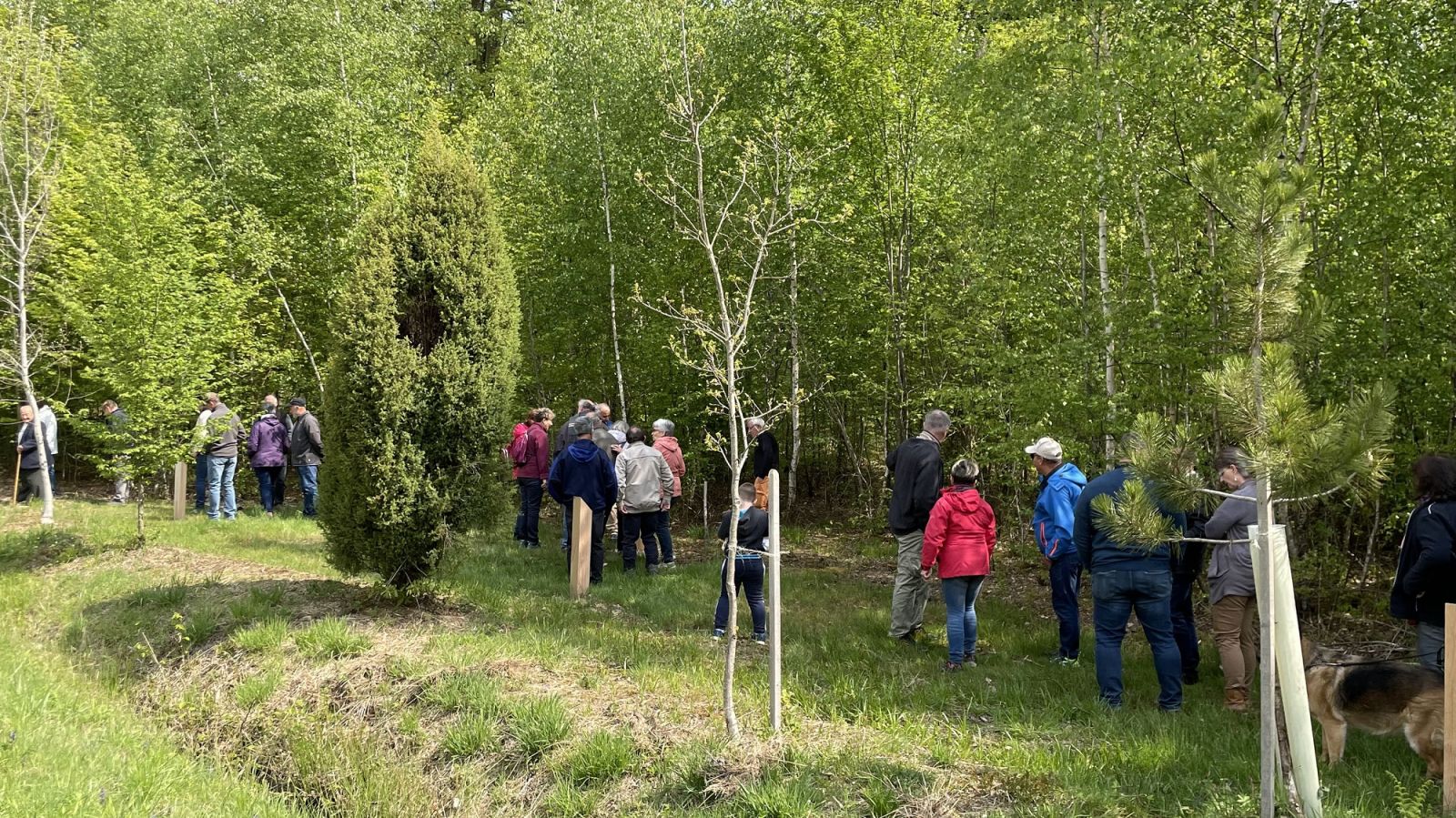 Sentier de l&rsquo;arboretum de Romain-aux-Bois (n°14)