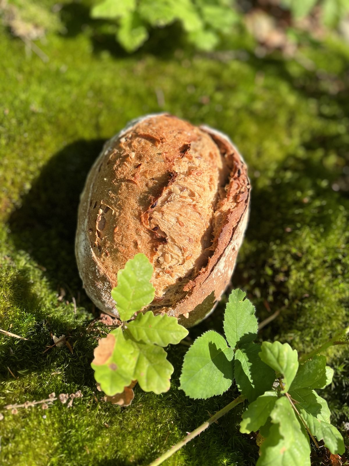 Le Fournil de la Forêt