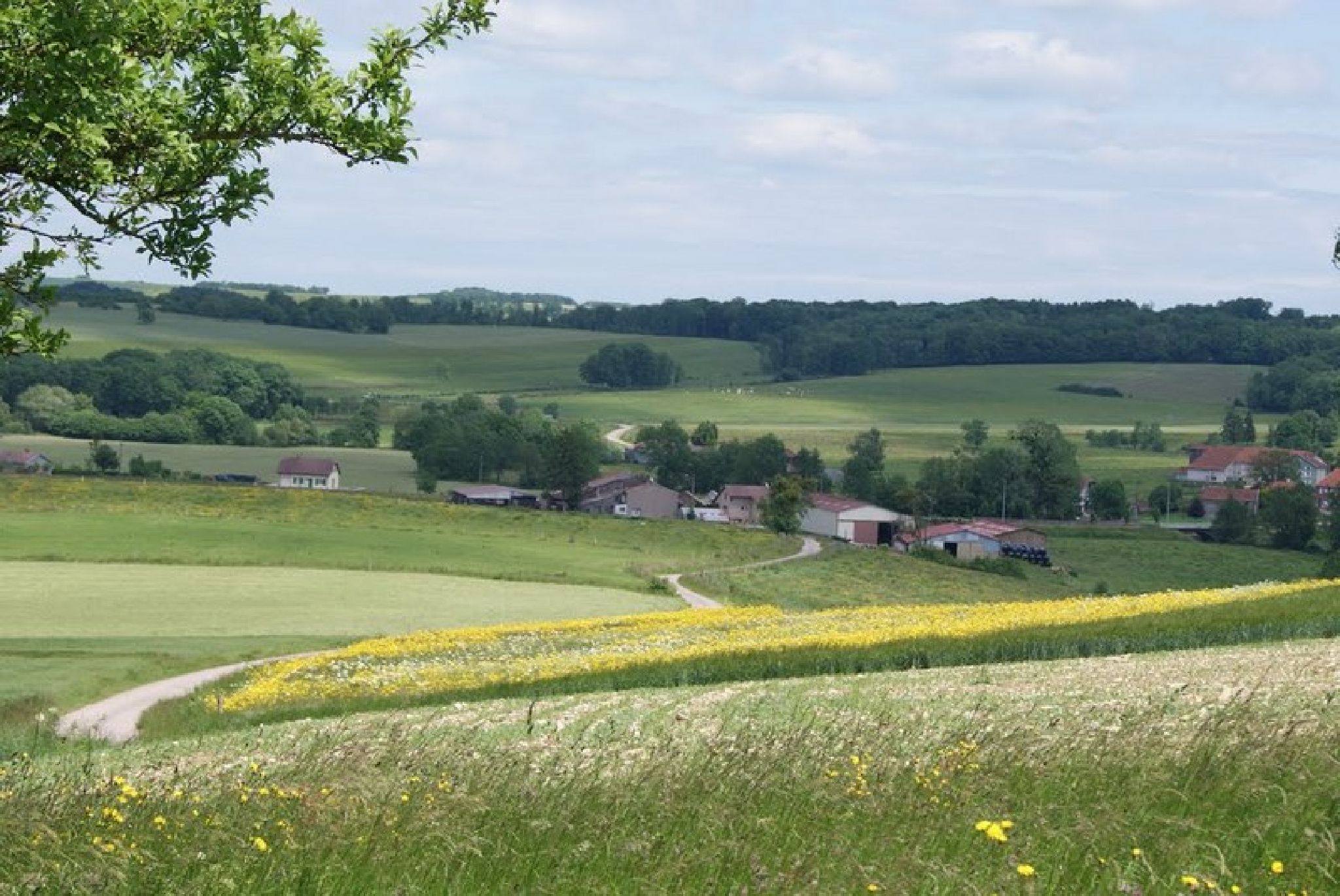 Pierrebonfays (n°26)