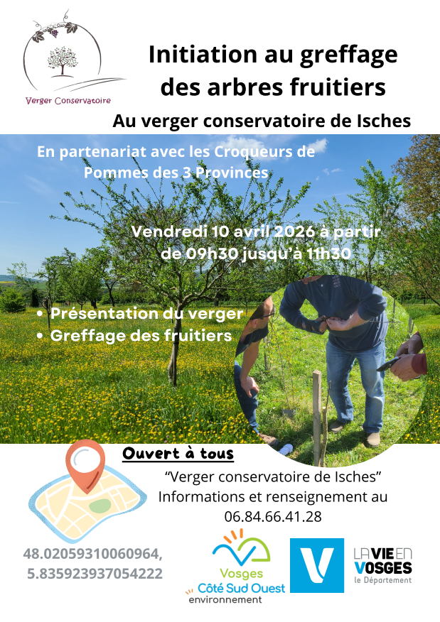 Initiation au greffage des arbres fruitiers