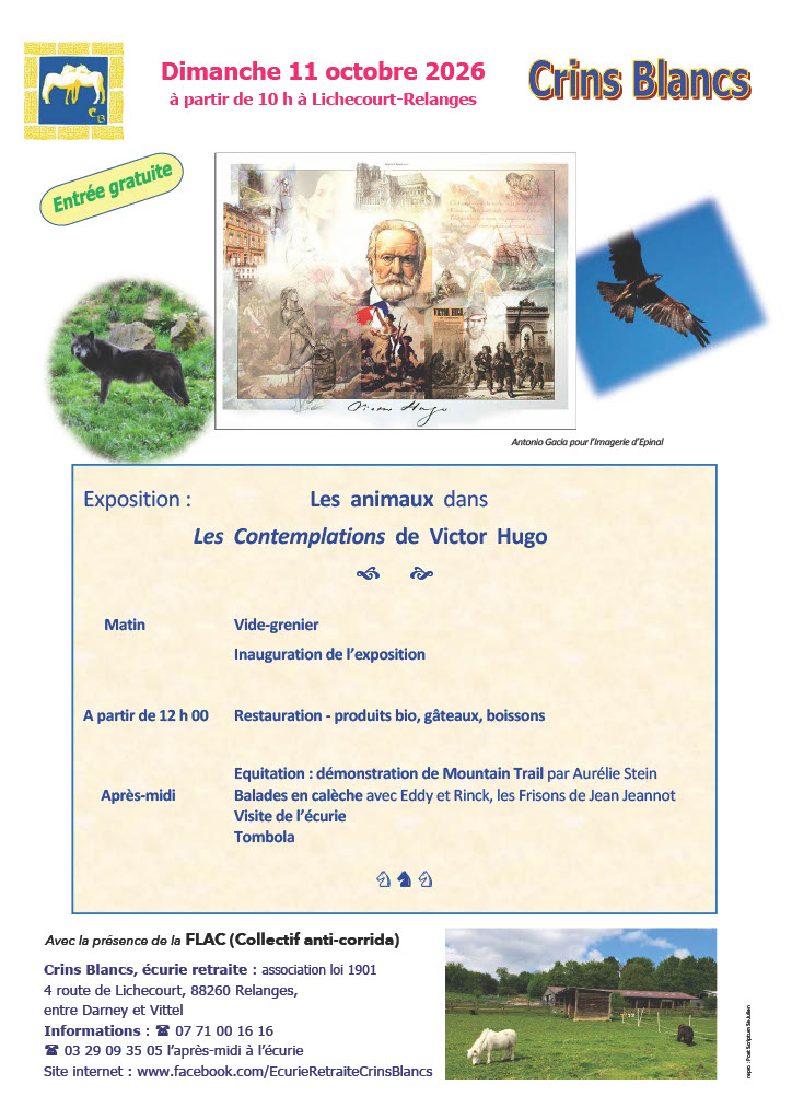Vide Grenier, Exposition au Crins Blancs