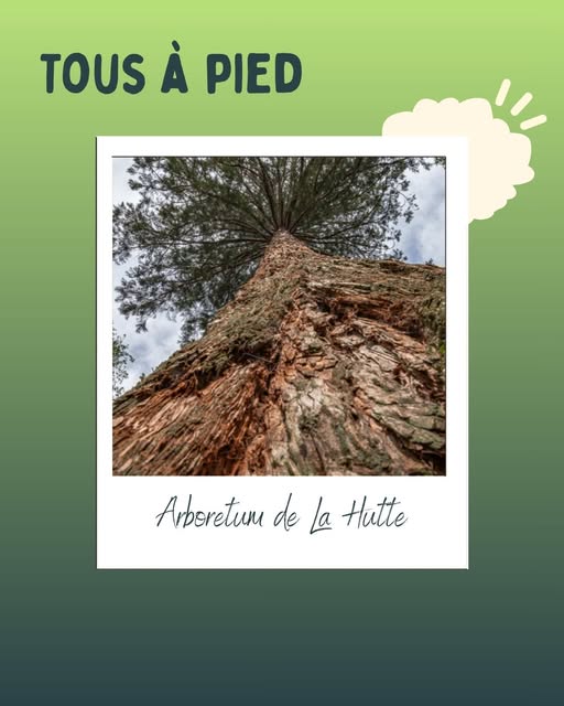 tourisme.vcso - Post : DbI96jujd1M
