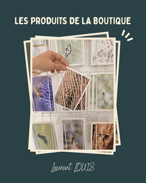 tourisme.vcso - Post : Dd4I6tmDILv