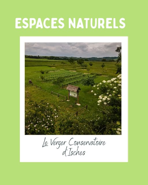 tourisme.vcso - Post: DeHlp3CiXud